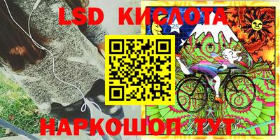 прущие грибы Пенза