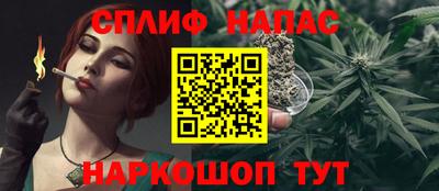 прущие грибы Пенза