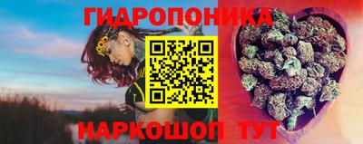 прущие грибы Пенза