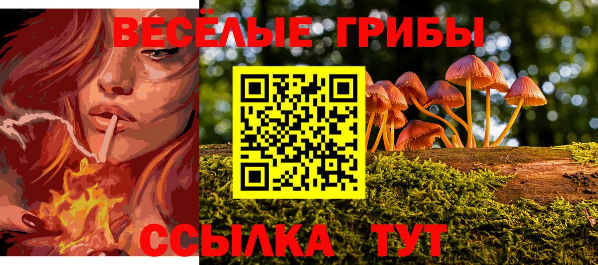 Невинномысск  Галлюциногенные грибы мухоморы  Вход с VPN 