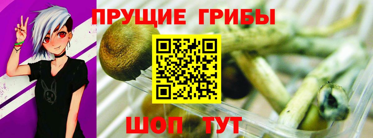 Псилоцибиновые грибы мухоморы Невинномысск